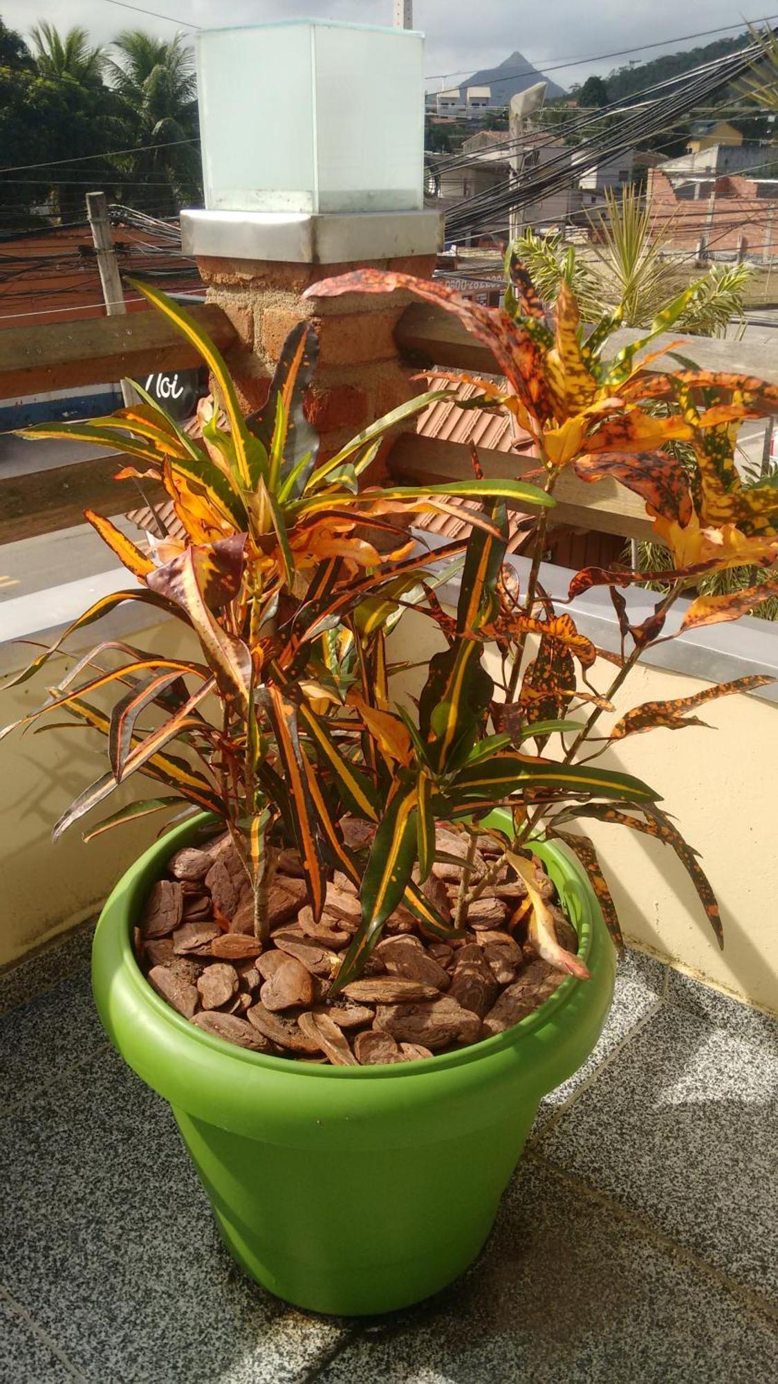 Pousada Castelinho ماريكا المظهر الخارجي الصورة